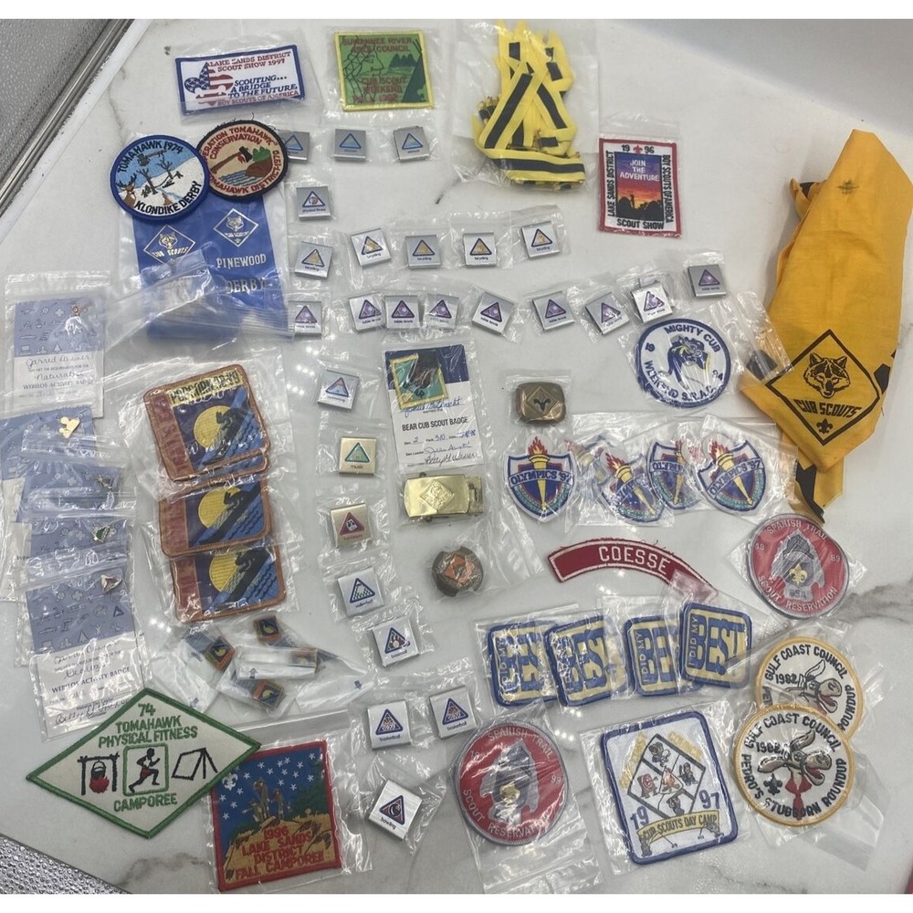 VTG Boy Scouts of America Pins Patches Badges Cub Boy Scout Skill Awards Merit